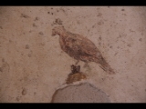 05665 ostia - regio iii - insula ix - domus delle muse (iii,ix,22) - raum 9 - suedostwand - li - detail - vogel.jpg